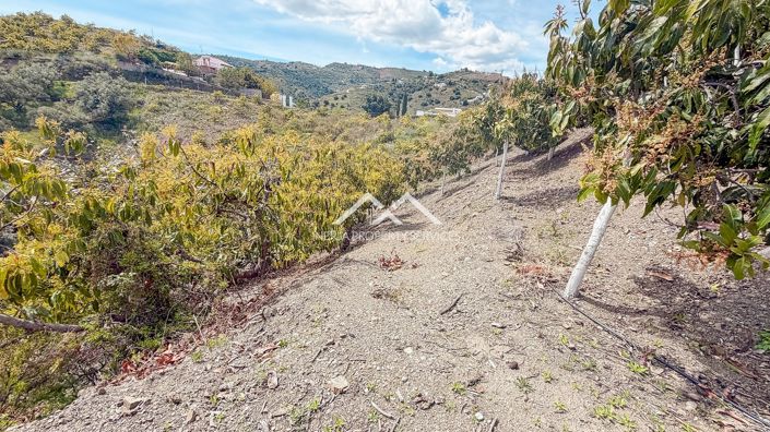 Image No.5-Property for sale