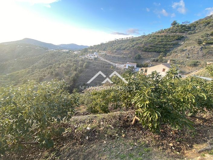 Image No.12-Propriété à vendre à Frigiliana