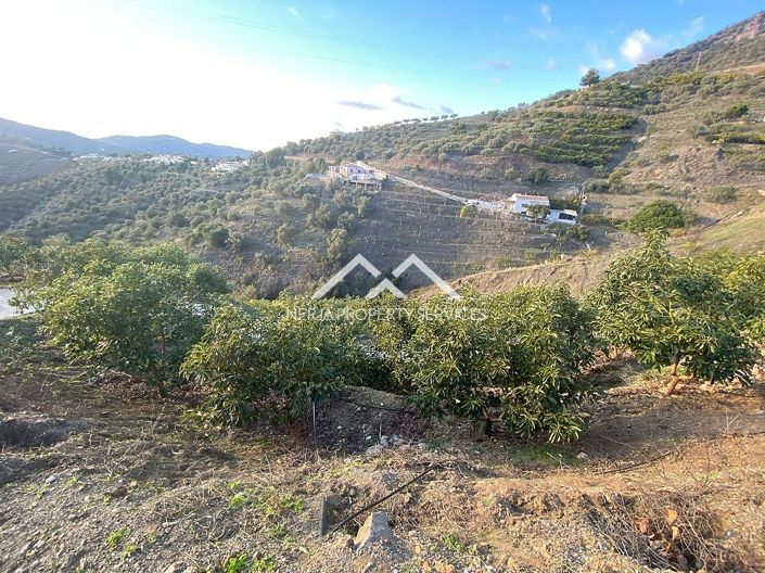 Image No.17-Propriété à vendre à Frigiliana
