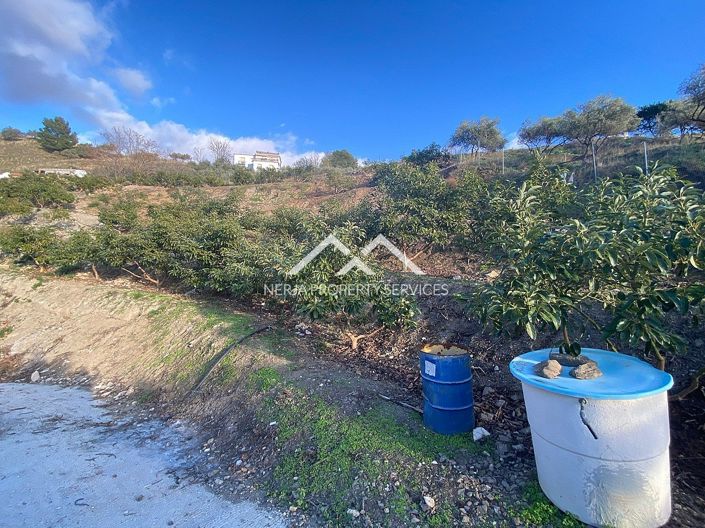 Image No.6-Propriété à vendre à Frigiliana