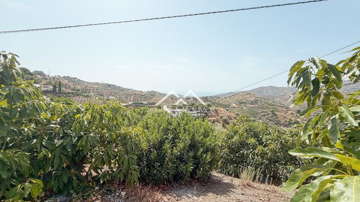 Image No.42-3 Bed Country Property for sale