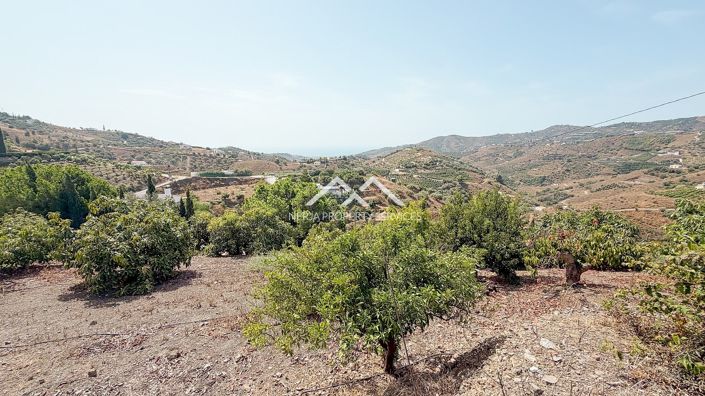 Image No.43-3 Bed Country Property for sale