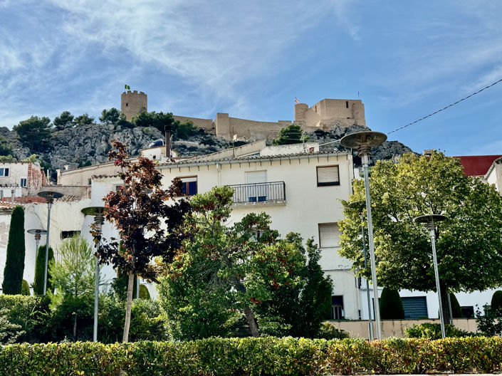 Image No.50-8 Bed Finca for sale