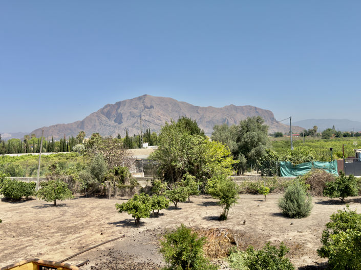 Image No.26-3 Bed Finca for sale