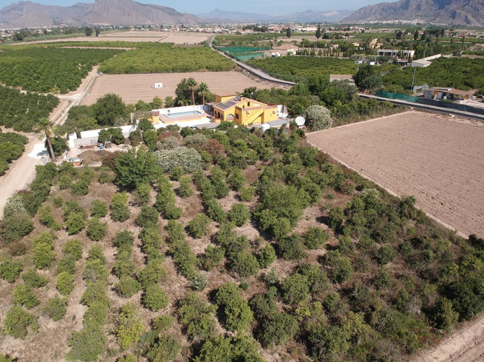 Image No.34-3 Bed Finca for sale