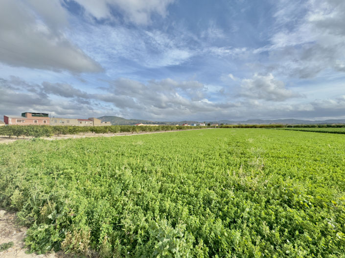 Image No.20-Villa de 3 chambres à vendre à Orihuela