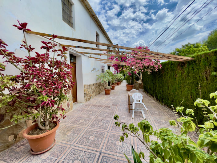 Image No.40-8 Bed Finca for sale