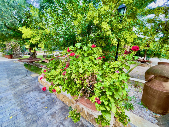 Image No.49-8 Bed Finca for sale