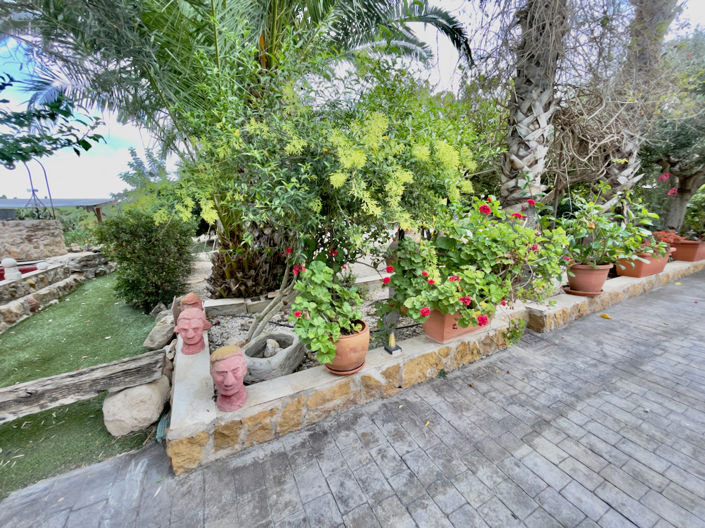 Image No.50-8 Bed Finca for sale