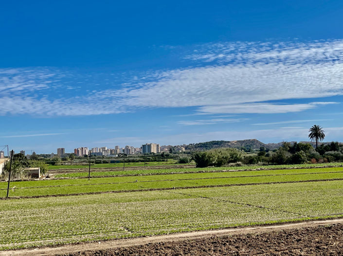 Image No.30-Villa de 6 chambres à vendre à Guardamar del Segura