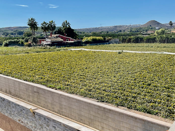 Image No.31-Villa de 6 chambres à vendre à Guardamar del Segura