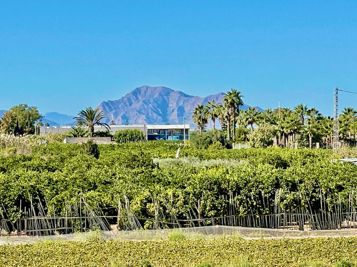 Image No.33-Villa de 6 chambres à vendre à Guardamar del Segura