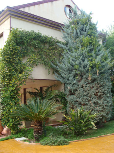 Image No.8-Villa de 7 chambres à vendre à Elche