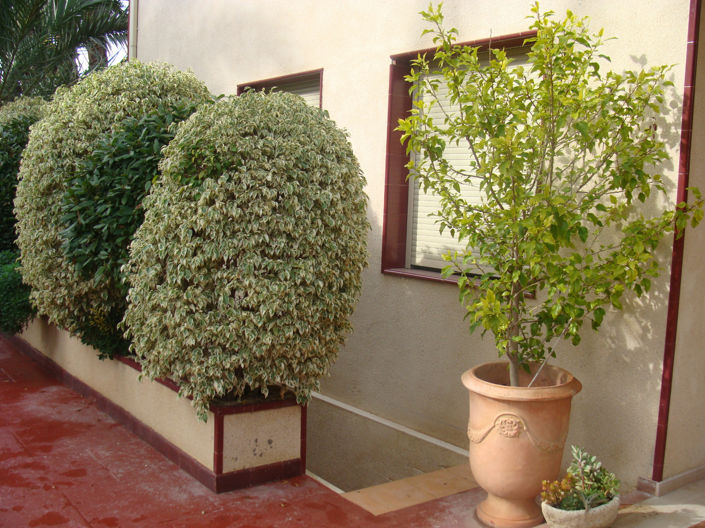 Image No.9-7 Bed Villa for sale