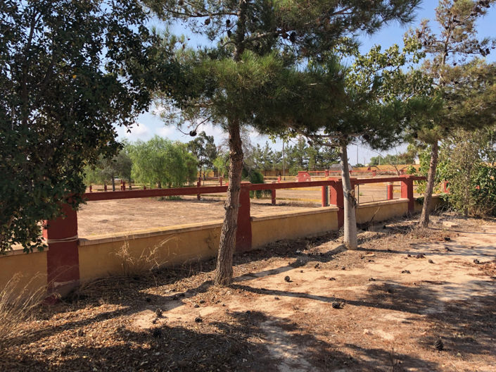 Image No.42-4 Bed Finca for sale