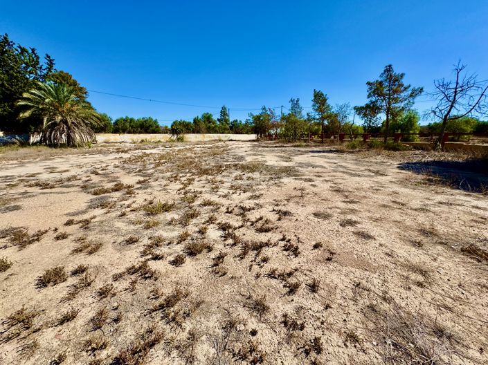 Image No.43-Finca de 4 chambres à vendre à Los Montesinos