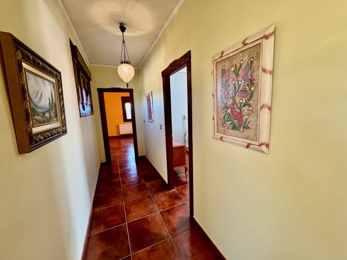 Image No.7-Finca de 4 chambres à vendre à Los Montesinos