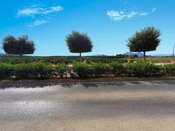 o1j603tjhu48re671h6d45flu2a