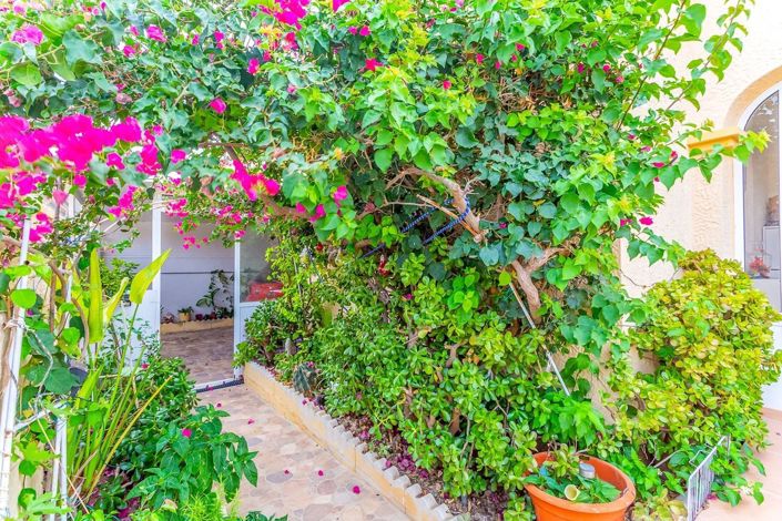 Image No.10-3 Bed Villa for sale