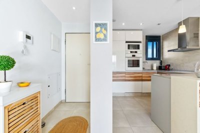 o1ja8jdkur1hntbh513r1gfk12gr2v