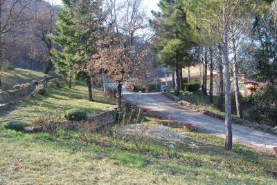 particolare-del-parco