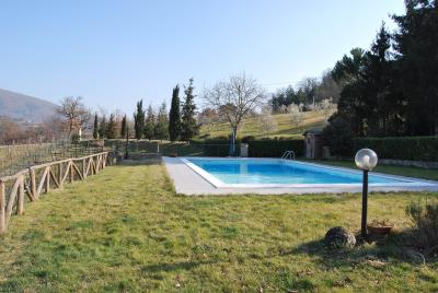 Piscina-e-oliveto