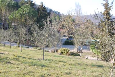 Veduta-dall-oliveto-2