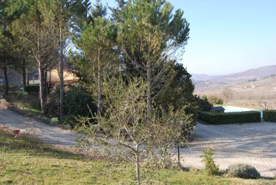 Veduta-dall-oliveto