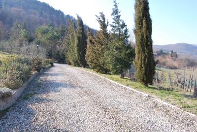 vila-ingresso-principale