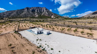 2691dji202409041759330001d