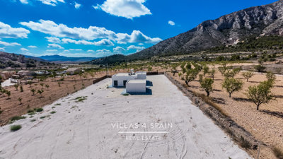 2691dji202409041759480006d