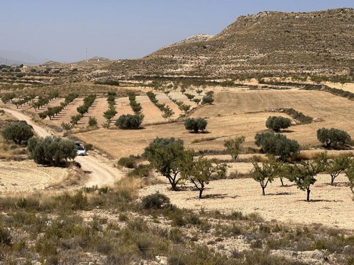 Image No.10-Land for sale