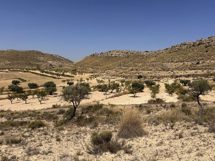 Image No.3-Land for sale