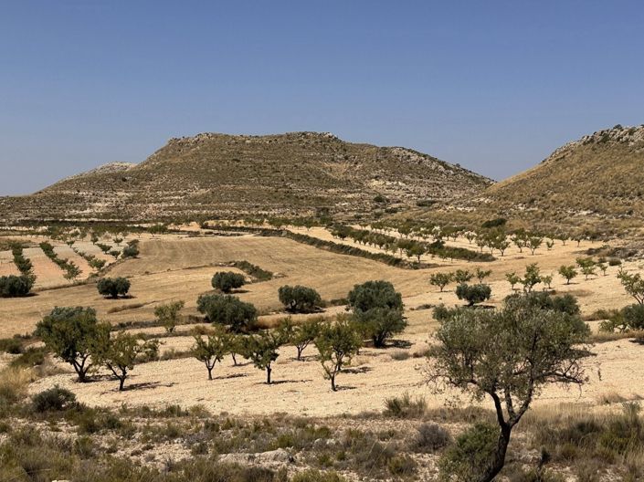 Image No.4-Land for sale