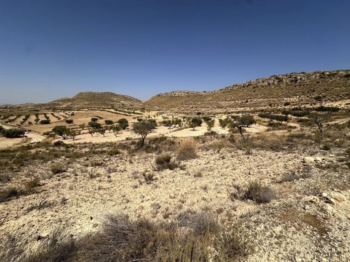 Image No.7-Land for sale