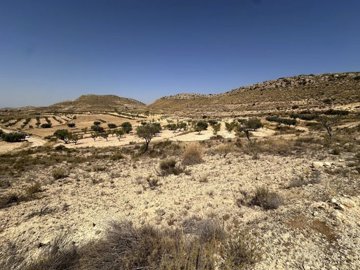 435853353039176963522586845680611179624754650