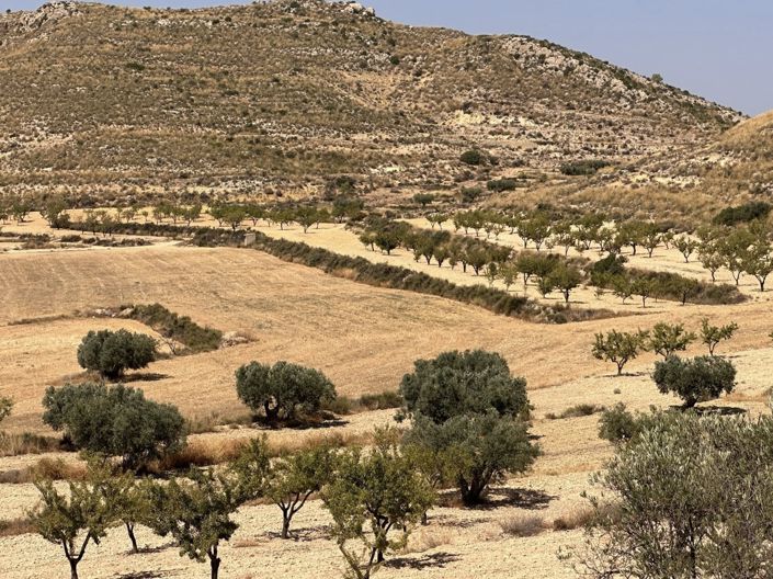 Image No.8-Land for sale