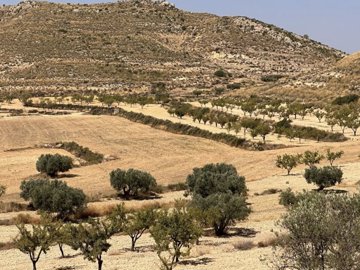 435853440641476963515586846315392579849786396