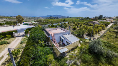 5153dji202604041328300165d