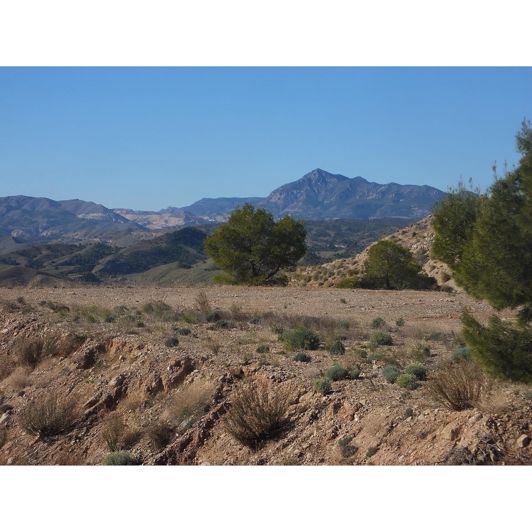 Image No.8-Property for sale
