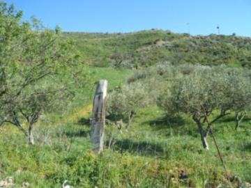 1 - Caccamo, Land