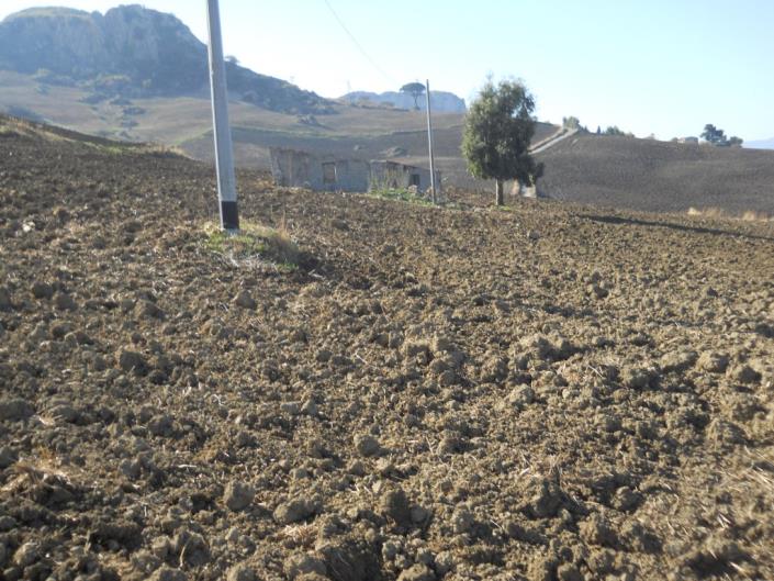 Image No.21-4 Bed Land for sale