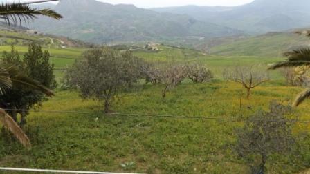 Image No.16-3 Bed Villa for sale