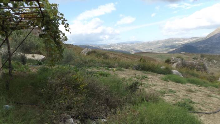 Image No.7-3 Bed Villa for sale