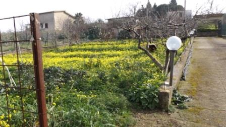 Image No.3-3 Bed Villa for sale