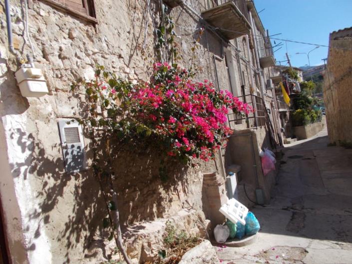 Image No.17-Maison de ville de 1 chambre à vendre à Caccamo