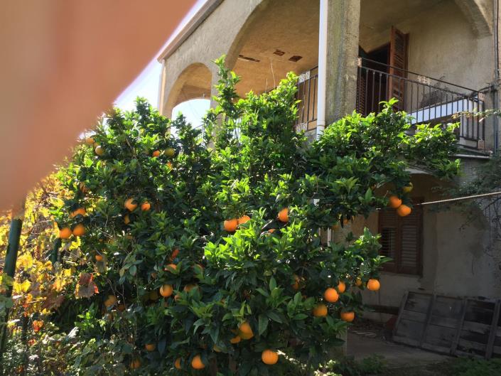 Image No.12-3 Bed Villa for sale