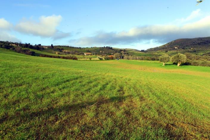 Image No.4-6 Bed Land for sale