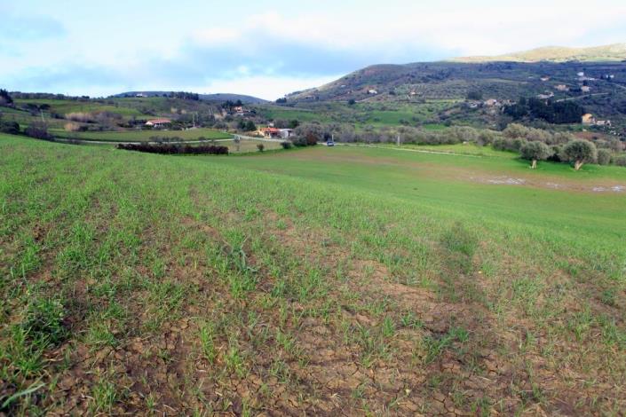 Image No.5-6 Bed Land for sale