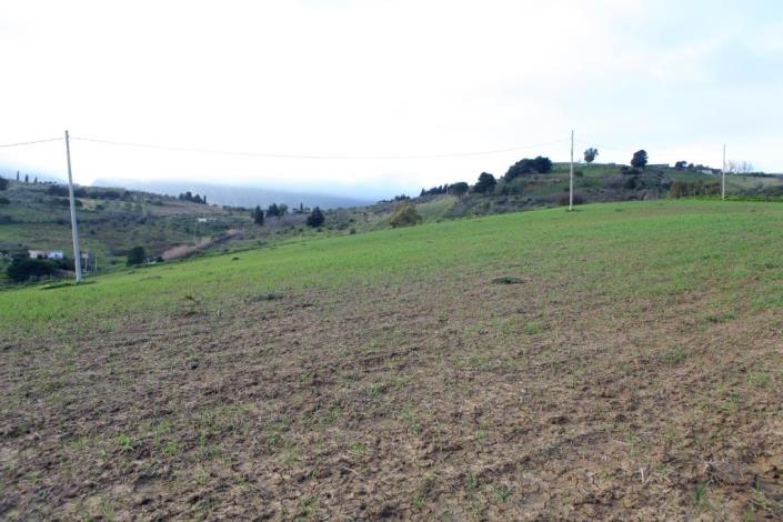 Image No.8-6 Bed Land for sale